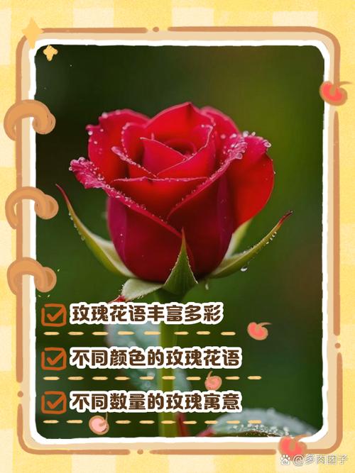 家庭种植花卉的花语总结，家庭养花品种及花名-第7张图片-优品飞百科