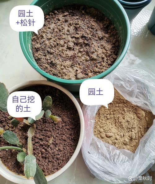 园土是什么土，怎么改良种花，园土是什么意思