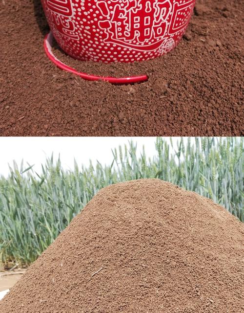 园土是什么土，怎么改良种花，园土是什么意思-第2张图片-优品飞百科