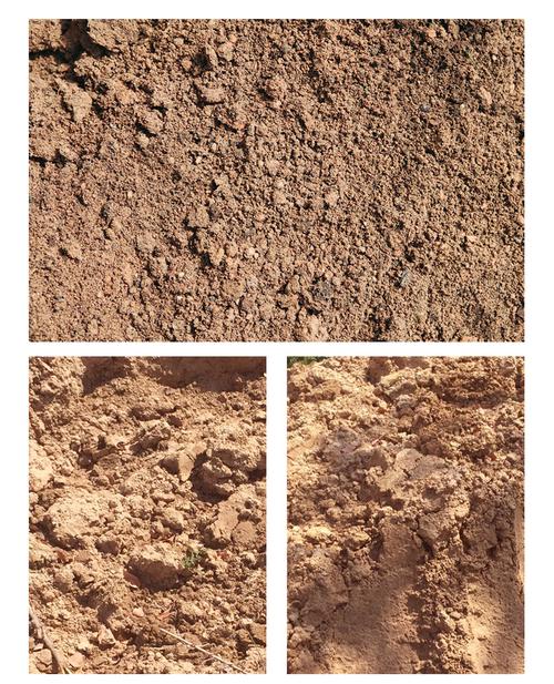 园土是什么土，怎么改良种花，园土是什么意思-第3张图片-优品飞百科