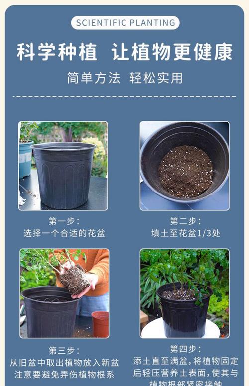 园土是什么土，怎么改良种花，园土是什么意思-第4张图片-优品飞百科