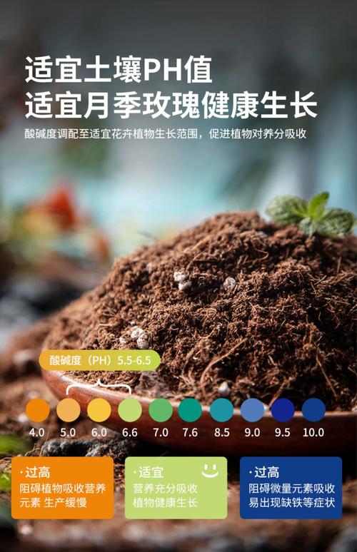 园土是什么土，怎么改良种花，园土是什么意思-第5张图片-优品飞百科