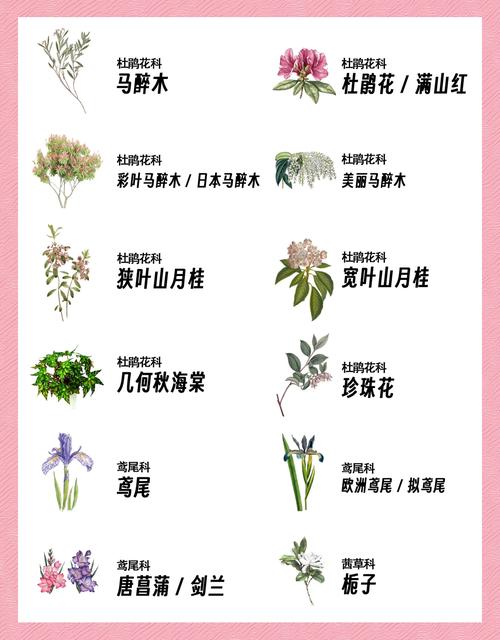 大和锦有什么作用？大和锦出状态是什么样子？-第1张图片-优品飞百科