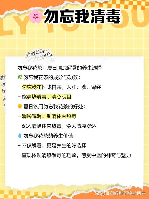 勿忘我有什么作用？勿忘我有什么作用与功效？-第1张图片-优品飞百科