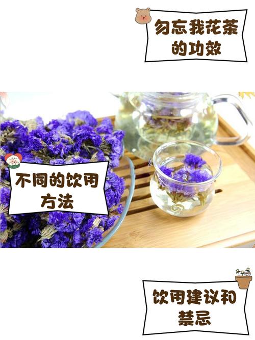 勿忘我有什么作用？勿忘我有什么作用与功效？-第3张图片-优品飞百科