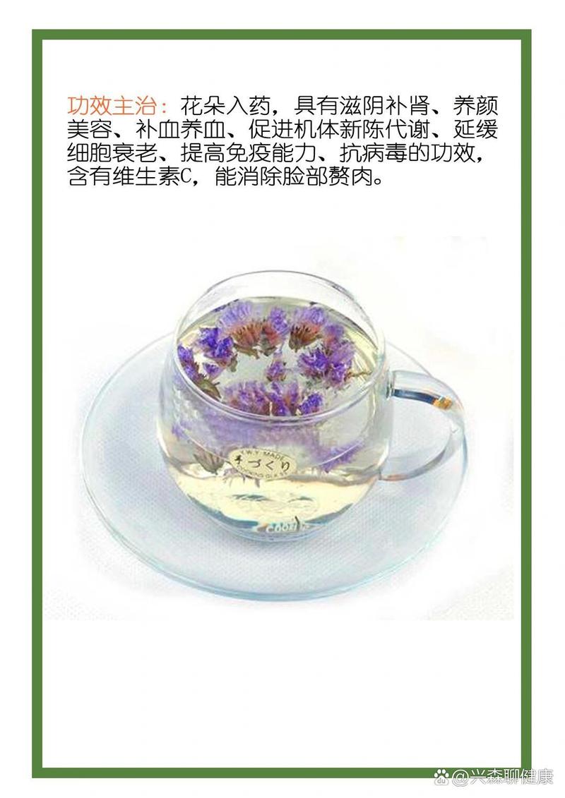 勿忘我有什么作用？勿忘我有什么作用与功效？-第2张图片-优品飞百科