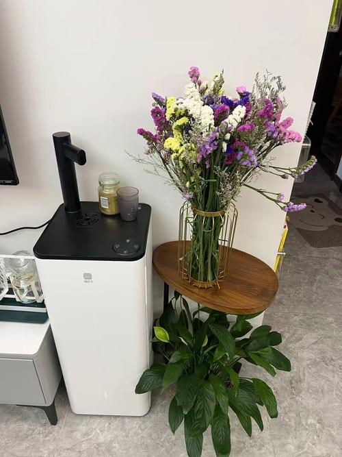 勿忘我有什么作用？勿忘我有什么作用与功效？-第4张图片-优品飞百科