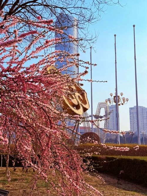 榆林适合养什么花，市花和市树是什么？榆林适合养什么花,市花和市树是什么花？-第6张图片-优品飞百科