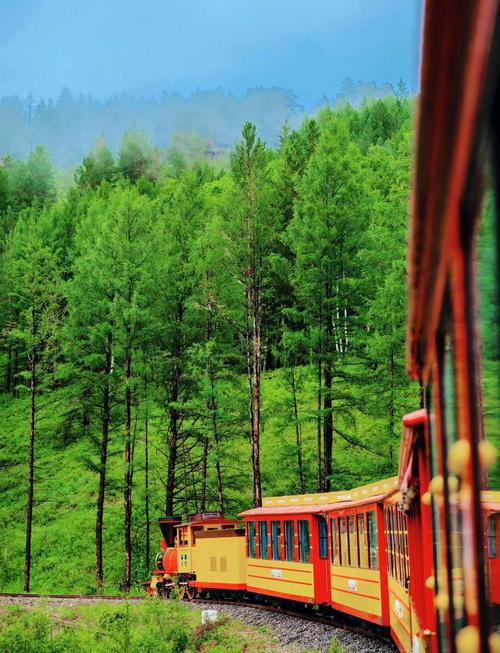 呼中天气预报，呼中天气预报一周-第6张图片-优品飞百科