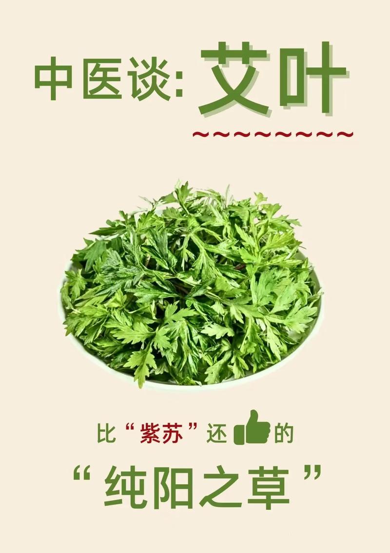 艾草泡脚可以减肥吗，艾草泡脚有什么作用？艾草泡脚可以减肥吗,艾草泡脚有什么作用吗？-第1张图片-优品飞百科