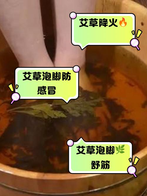 艾草泡脚可以减肥吗，艾草泡脚有什么作用？艾草泡脚可以减肥吗,艾草泡脚有什么作用吗？-第5张图片-优品飞百科