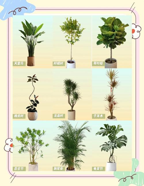 卧室放什么植物最旺财又健康，卧室放什么植物最旺财又健康放哪个地方？-第5张图片-优品飞百科