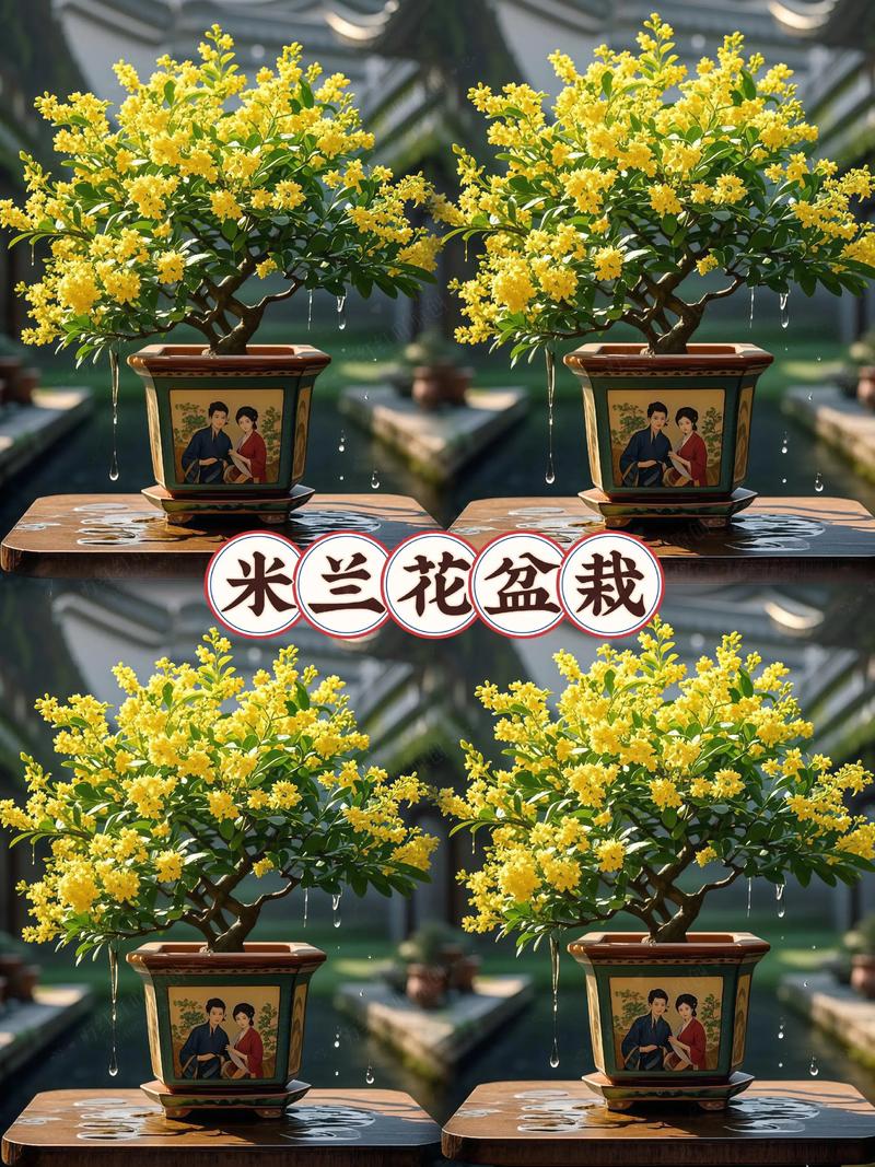 米兰的寓意?米兰植物的寓意?-第5张图片-优品飞百科 米兰的寓意?米兰植物的寓意?-第5张图片-优品飞百科