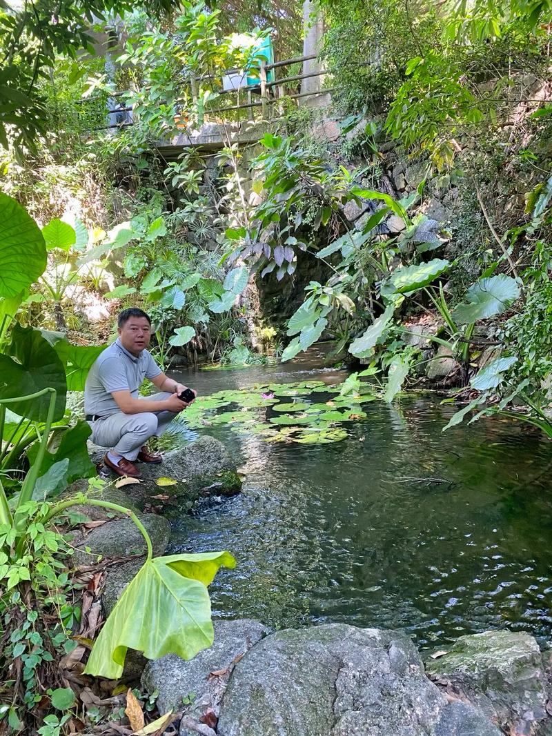 深圳龙华天气预报，深圳天气预报？-第4张图片-优品飞百科