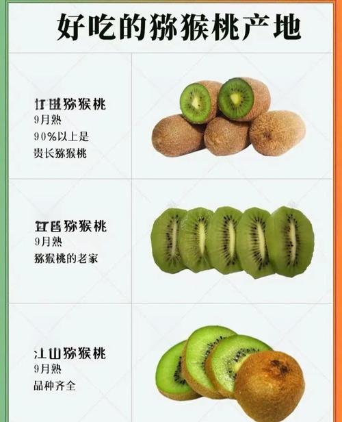 猕猴桃的功效与作用,猕猴桃的功效与作用?-第5张图片-优品飞百科 猕猴桃的功效与作用,猕猴桃的功效与作用?-第5张图片-优品飞百科