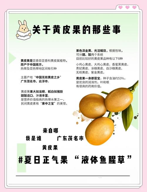 黄皮果的功效与作用，黄皮果的功效与作用禁忌养生之家？-第2张图片-优品飞百科