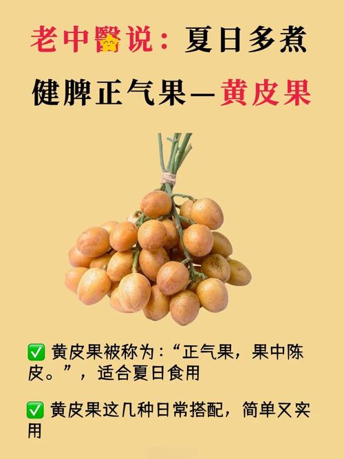 黄皮果的功效与作用，黄皮果的功效与作用禁忌养生之家？-第3张图片-优品飞百科