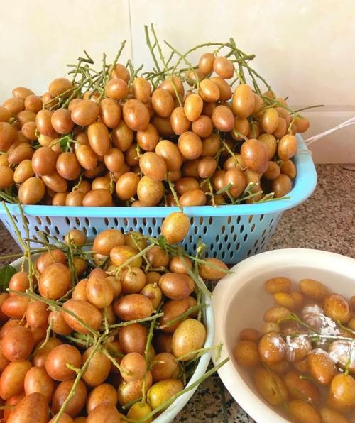 黄皮果的功效与作用，黄皮果的功效与作用禁忌养生之家？-第5张图片-优品飞百科