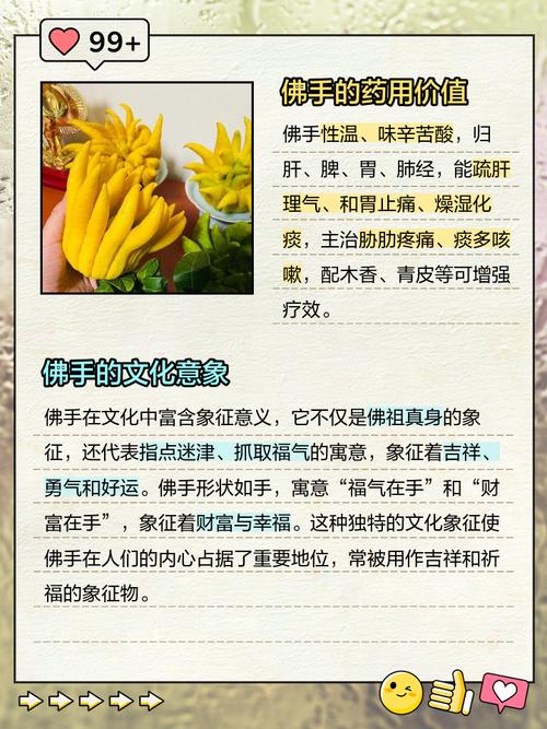 佛手的花语和象征意义，佛手花花语到底是什么？-第3张图片-优品飞百科