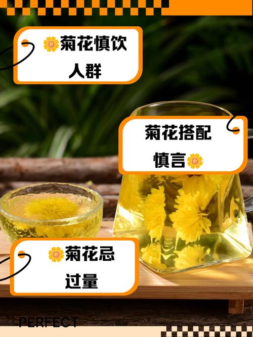 家里养菊花对风水怎么样？家庭养菊花寓意好不好？-第1张图片-优品飞百科