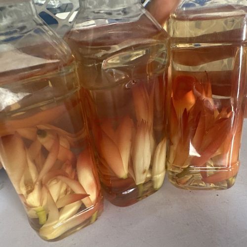 黄桷兰的功效与作用，黄桷兰的功效与作用是什么-第6张图片-优品飞百科