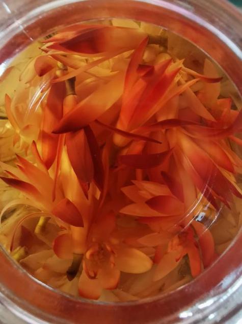 黄桷兰的功效与作用，黄桷兰的功效与作用是什么-第7张图片-优品飞百科