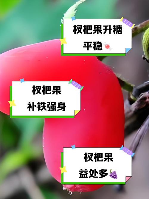 杈杷果的功效与作用？杈杷果好吃吗？-第5张图片-优品飞百科