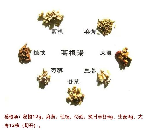 葛根的功效与作用，葛根的功效与作用适合哪些人-第2张图片-优品飞百科