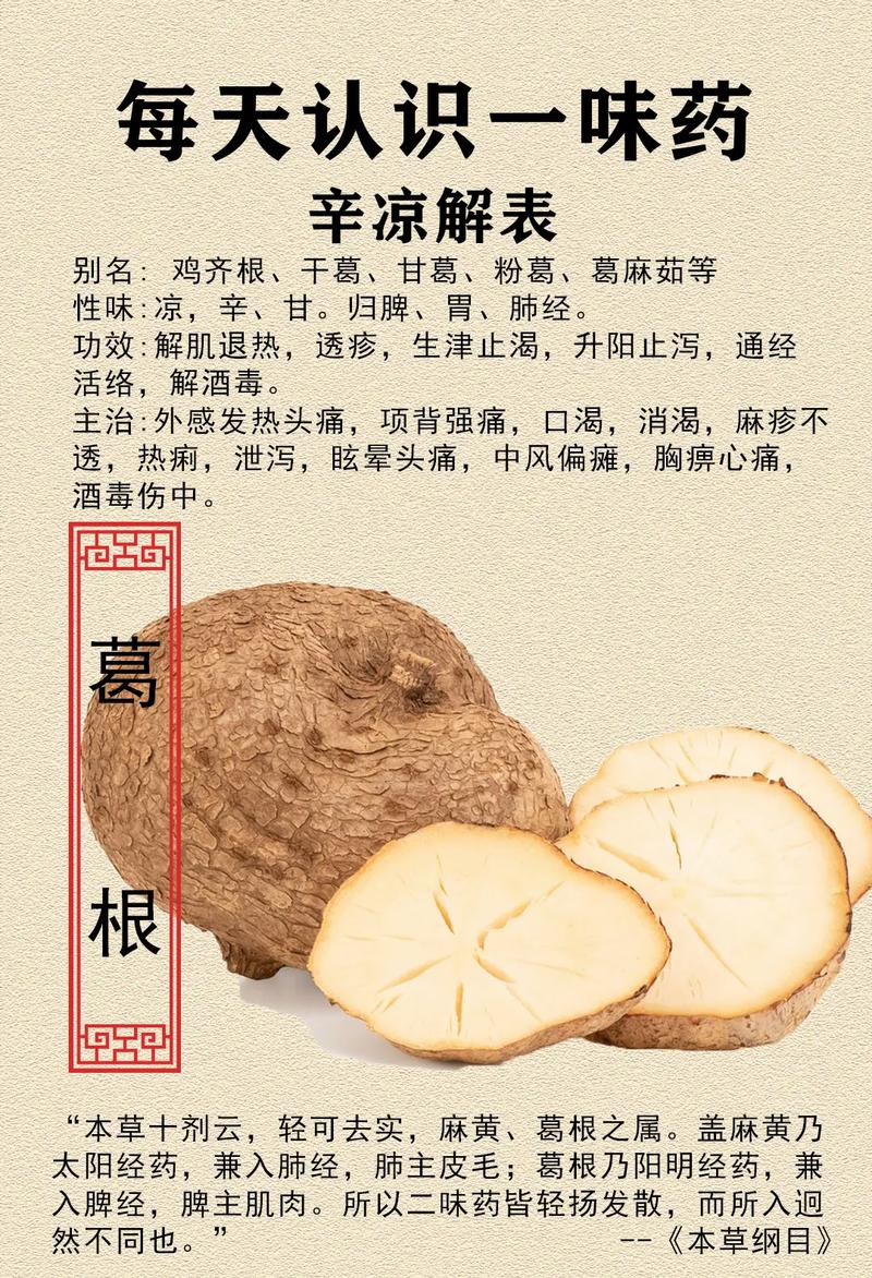 葛根的功效与作用，葛根的功效与作用适合哪些人-第4张图片-优品飞百科