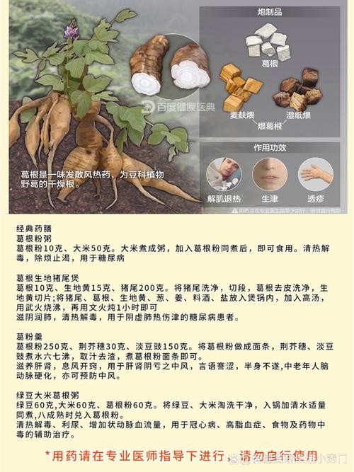 葛根的功效与作用，葛根的功效与作用适合哪些人-第5张图片-优品飞百科