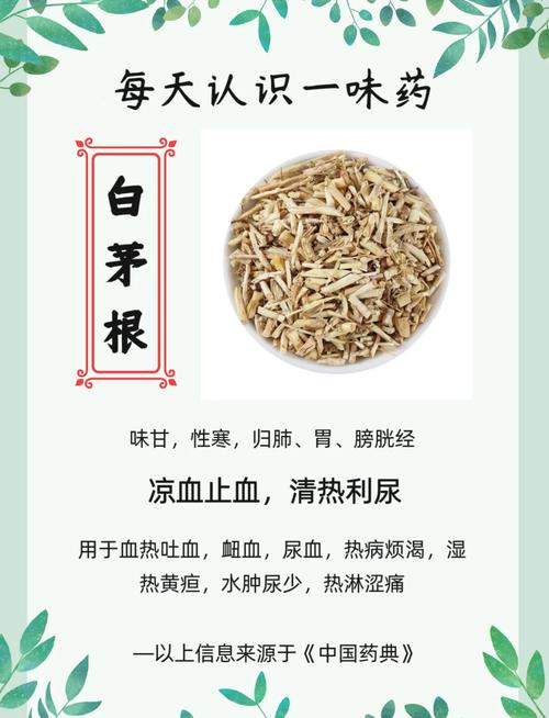 白茅的养殖方法，白茅简介-第2张图片-优品飞百科