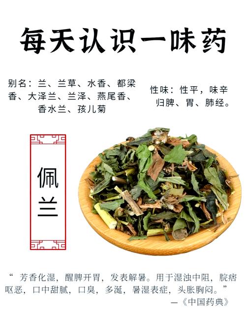 佩兰的功效与作用，木香的功效与作用？-第3张图片-优品飞百科