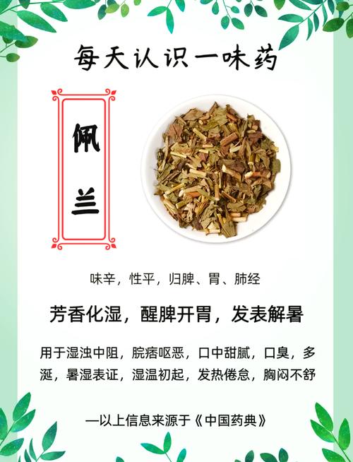 佩兰的功效与作用，木香的功效与作用？-第6张图片-优品飞百科