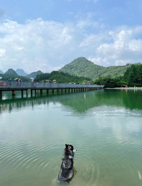 龙门县天气预报，龙门县天气预报未来3天查询？-第4张图片-优品飞百科