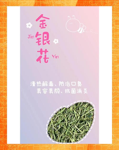孕妇能喝金银花茶吗？孕妇能喝金银花茶吗对胎儿有影响？-第5张图片-优品飞百科