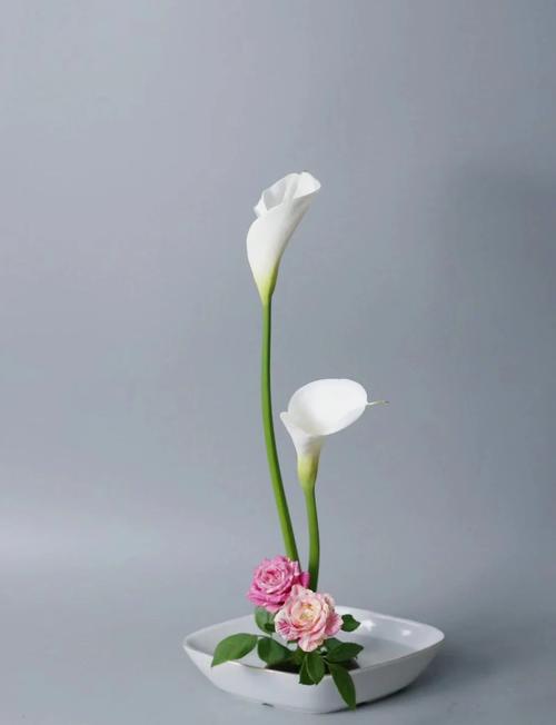 插花人必学之插花八绝？插花人必学之插花八绝是什么？-第2张图片-优品飞百科