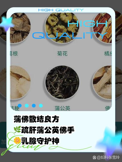 蒲公英的功效与作用及食用方法？蒲公英的药用价值能治什么病？-第2张图片-优品飞百科