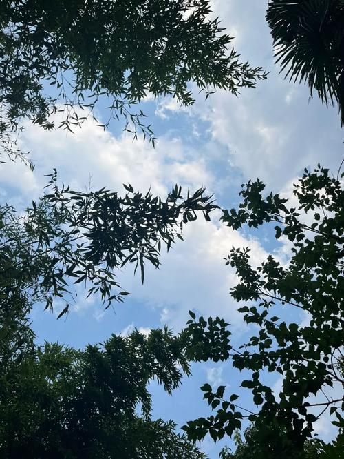 沧州沧县天气预报，沧州沧县天气预报天气？-第1张图片-优品飞百科