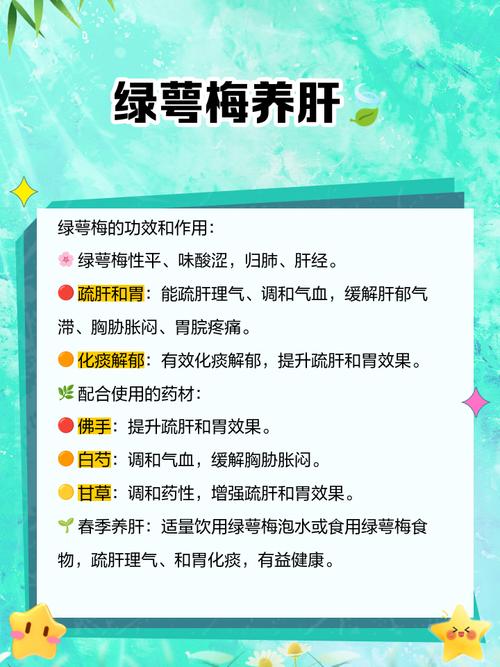 梅花的作用价值，梅花的作用价值和用途-第2张图片-优品飞百科