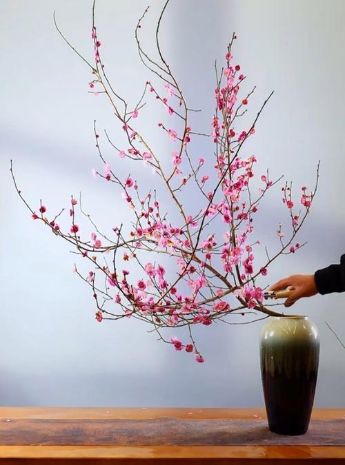 梅花的作用价值，梅花的作用价值和用途-第3张图片-优品飞百科