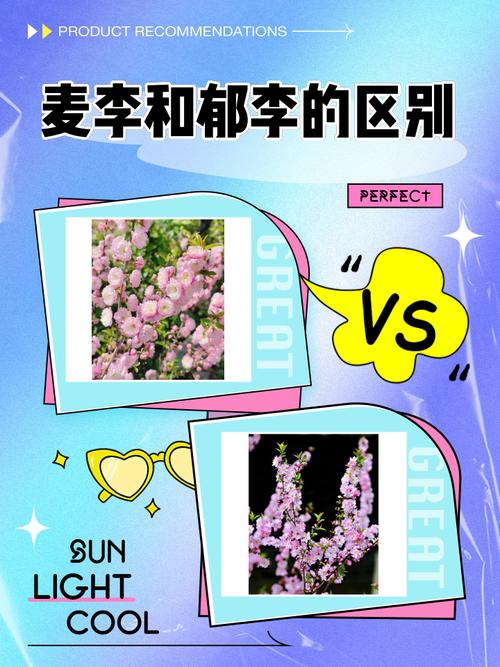 郁李和麦李的区别？郁李和麦李的区别在哪？-第3张图片-优品飞百科