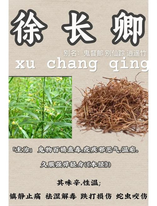 徐长卿的功效与作用?中药徐长卿的功效与作用?-第1张图片-优品飞百科 徐长卿的功效与作用?中药徐长卿的功效与作用?-第1张图片-优品飞百科