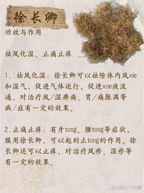 徐长卿的功效与作用?中药徐长卿的功效与作用?-第4张图片-优品飞百科 徐长卿的功效与作用?中药徐长卿的功效与作用?-第4张图片-优品飞百科