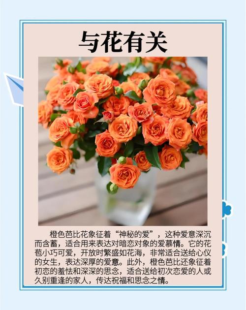 送什么花表示初恋，什么花花语代表初恋-第3张图片-优品飞百科