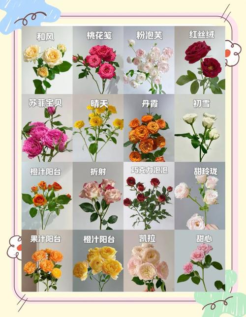 萍逢草的主要价值,萍蓬草根图片?-第5张图片-优品飞百科 萍逢草的主要价值,萍蓬草根图片?-第5张图片-优品飞百科