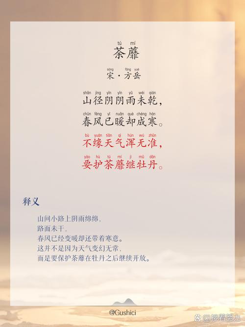 荼蘼有什么作用，荼蘼花的作用？-第1张图片-优品飞百科