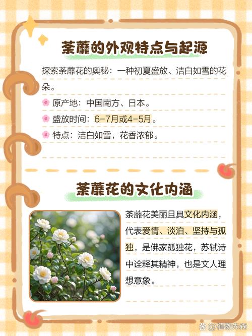 荼蘼有什么作用，荼蘼花的作用？-第2张图片-优品飞百科