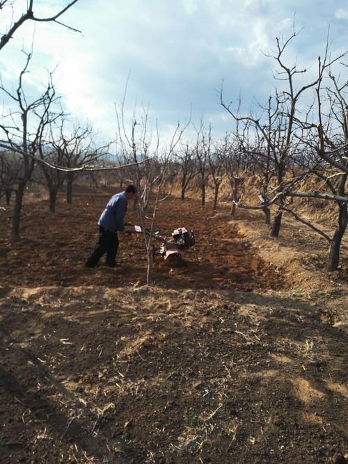 保定唐县天气预报?保定唐县天气预报15天准确?-第3张图片-优品飞百科 保定唐县天气预报?保定唐县天气预报15天准确?-第3张图片-优品飞百科