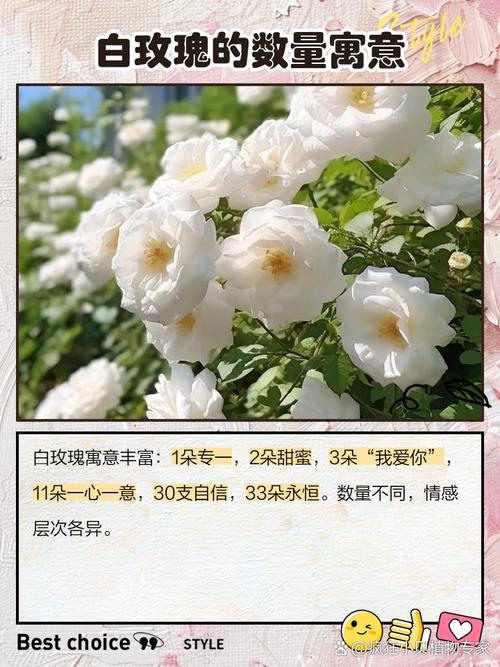 送玫瑰花的含义？送玫瑰花的含义和数量颜色,用什么颜色包裹？-第6张图片-优品飞百科