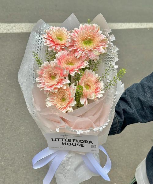 非洲菊的花语？非洲菊的花语是？-第6张图片-优品飞百科